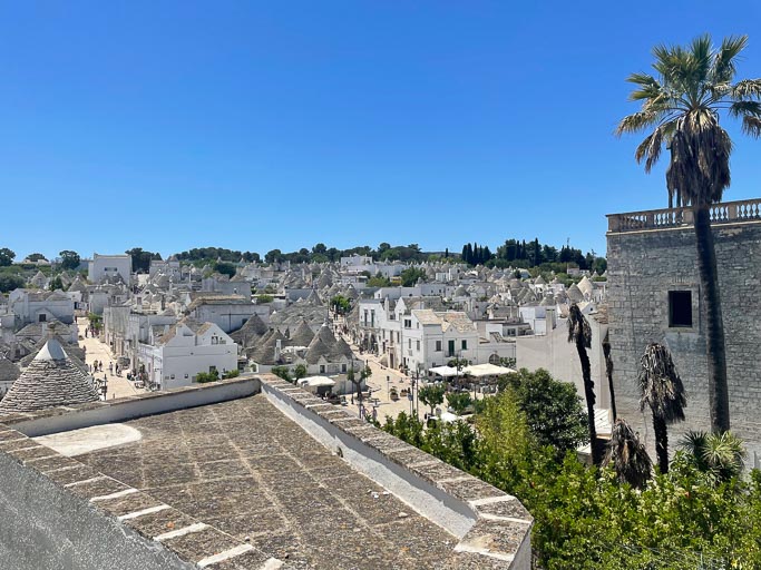 IMG_6349.jpg IMG_6349.jpg