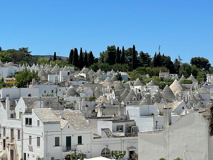 IMG_6353.jpg IMG_6353.jpg