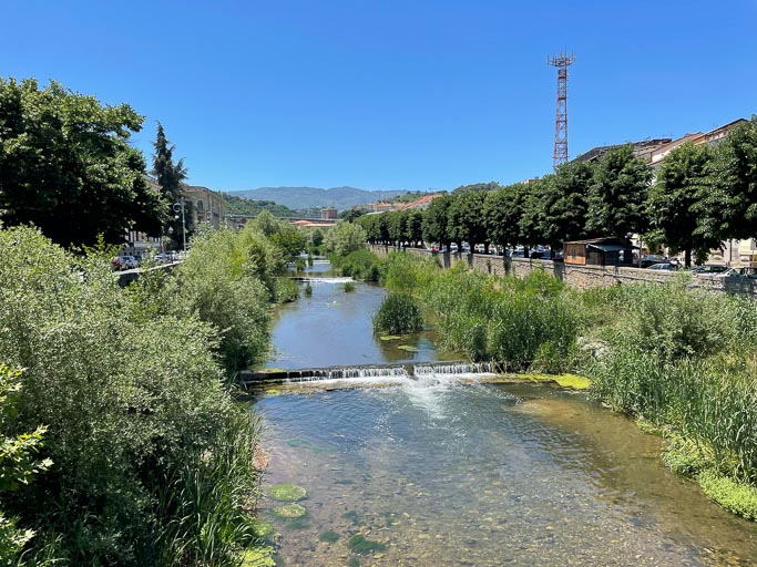 IMG_6682.jpg IMG_6682.jpg