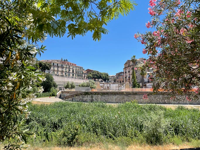 IMG_6684.jpg IMG_6684.jpg