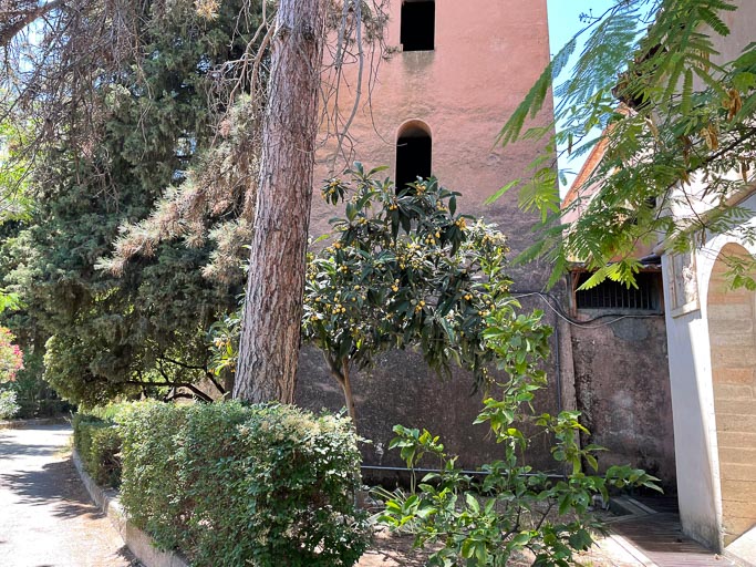 IMG_6686.jpg IMG_6686.jpg