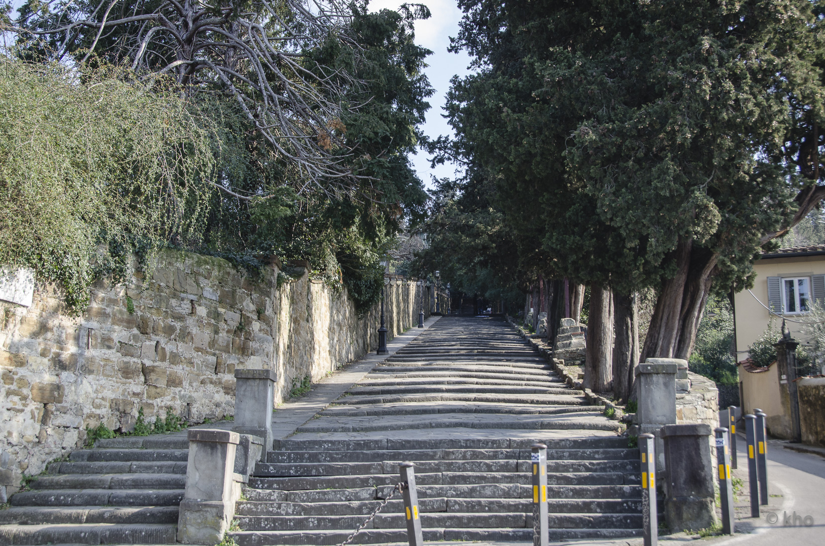 _D700725.jpg
