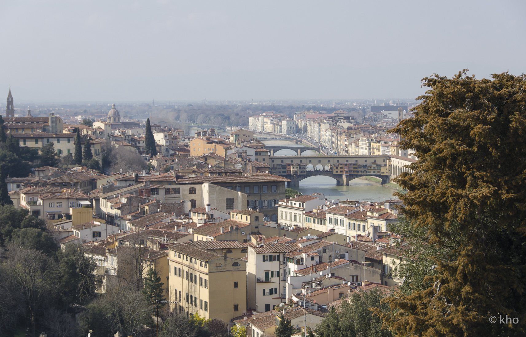 _D700737.jpg