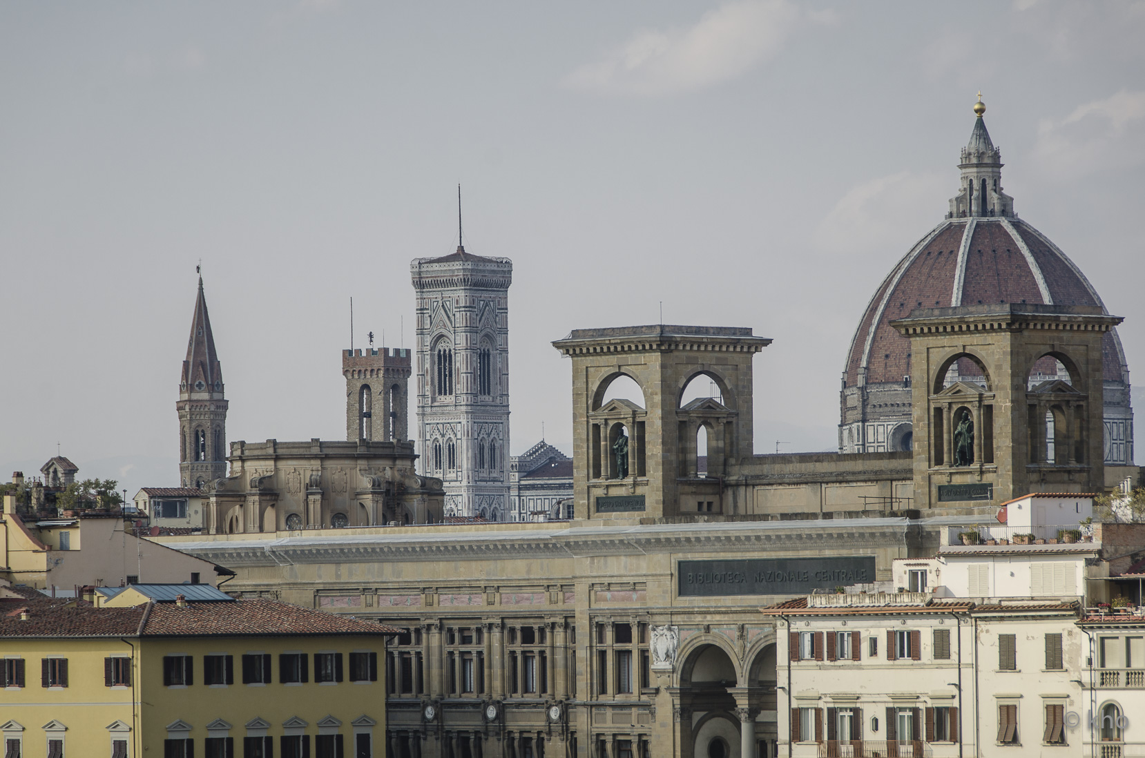 _D700780.jpg