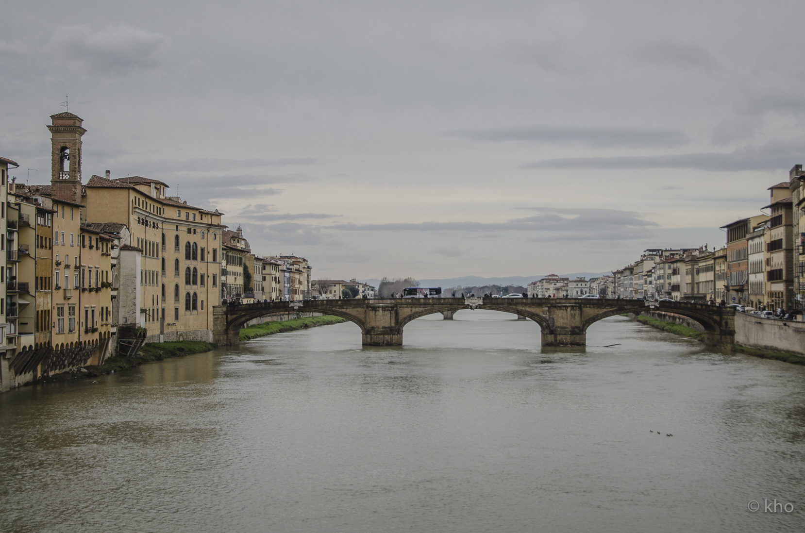 _D709864.jpg