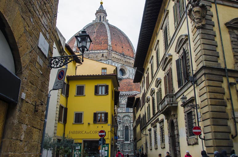 _D700254.jpg _D700254.jpg