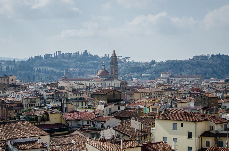 _D700491.jpg _D700491.jpg