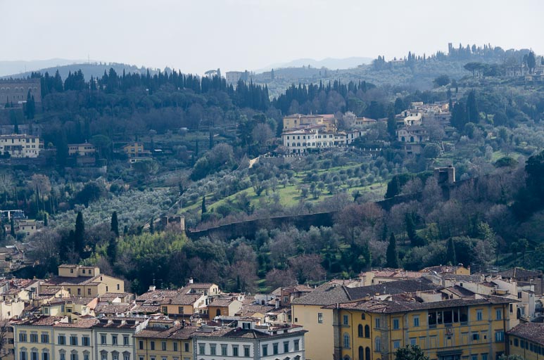 _D700533.jpg _D700533.jpg