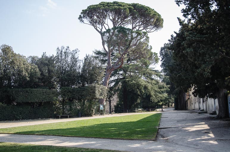 _D700681.jpg _D700681.jpg