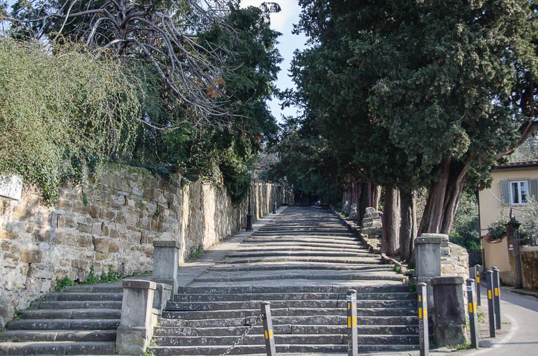 _D700725.jpg _D700725.jpg