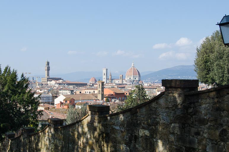 _D700729.jpg _D700729.jpg