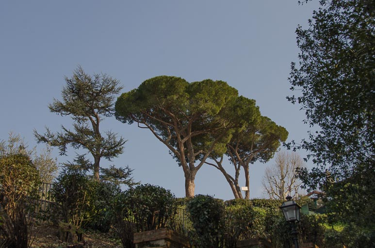 _D700732.jpg _D700732.jpg