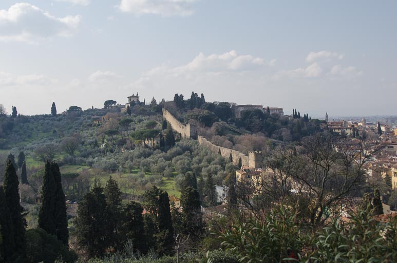 _D700735.jpg _D700735.jpg