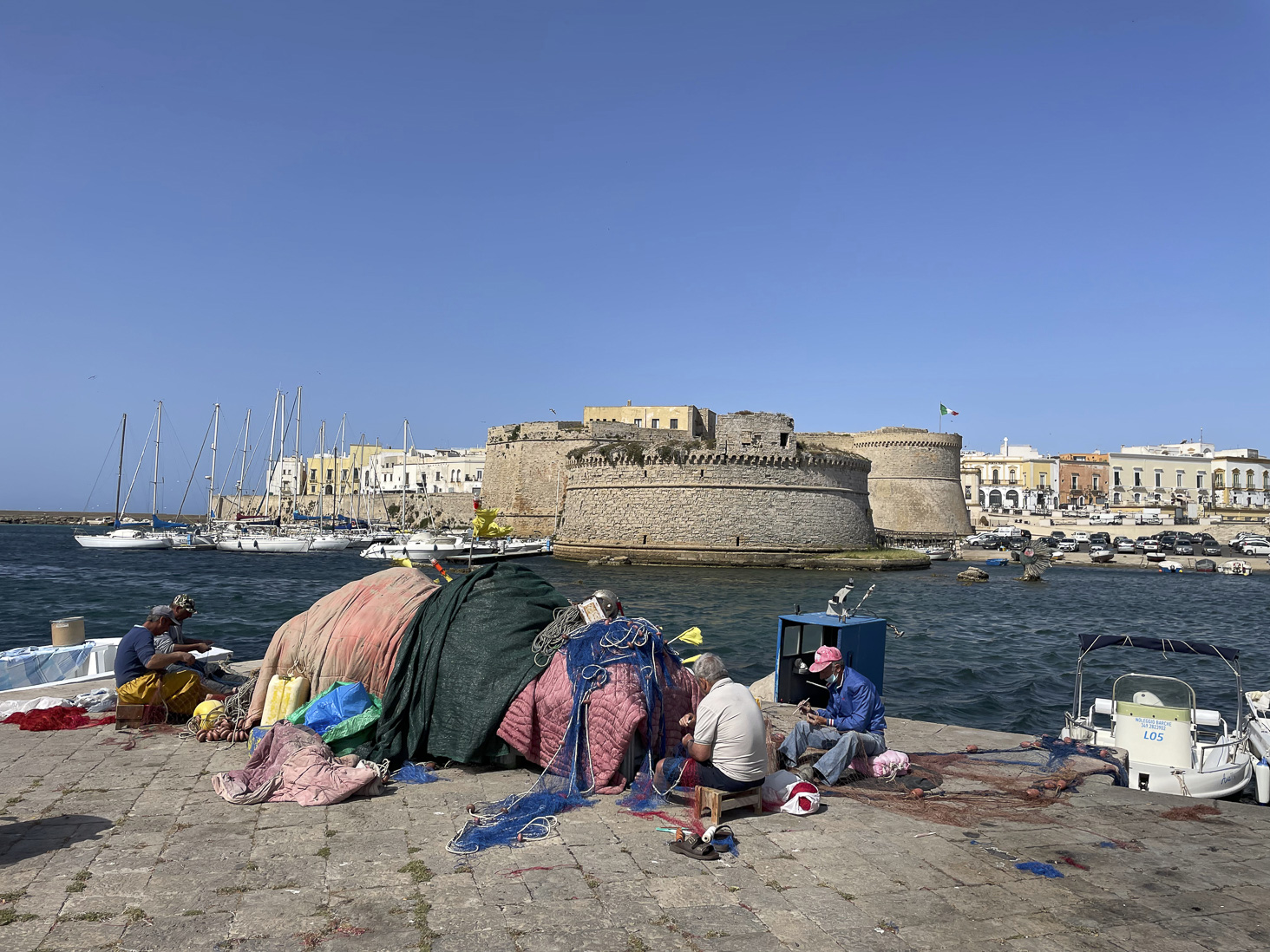 IMG_6482.jpg