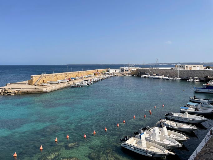 IMG_6490.jpg IMG_6490.jpg