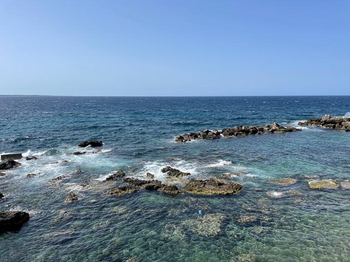 IMG_6498.jpg IMG_6498.jpg