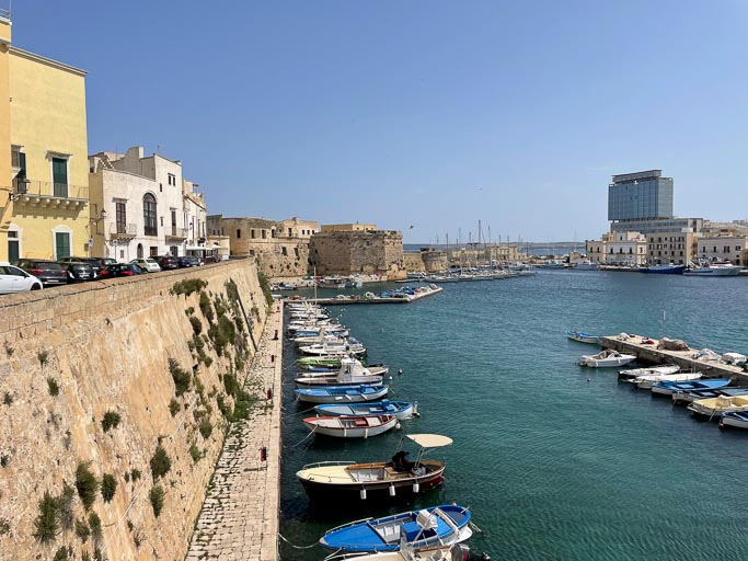 IMG_6500.jpg IMG_6500.jpg