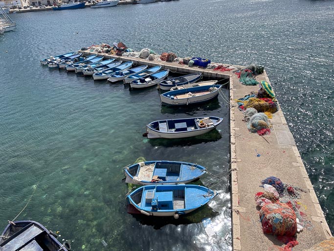 IMG_6502.jpg IMG_6502.jpg