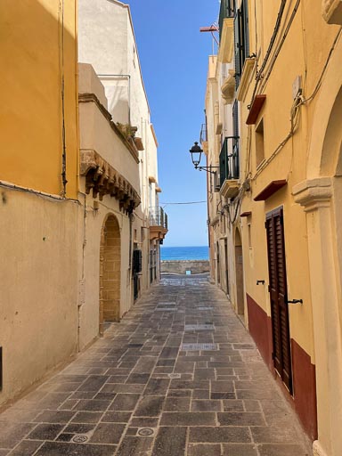 IMG_6504.jpg IMG_6504.jpg