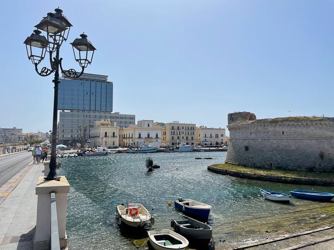 IMG_6509.jpg IMG_6509.jpg