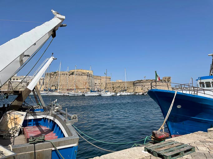 IMG_6511.jpg IMG_6511.jpg