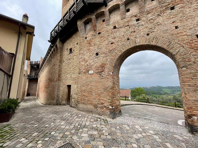 IMG_5972.jpg IMG_5972.jpg