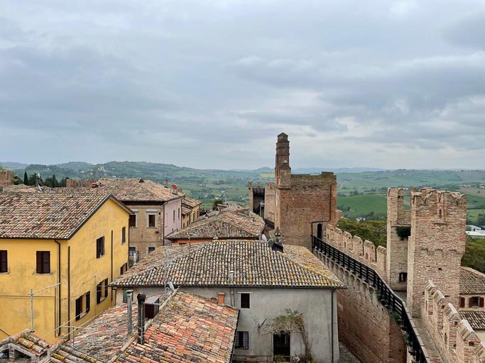 IMG_5995.jpg IMG_5995.jpg