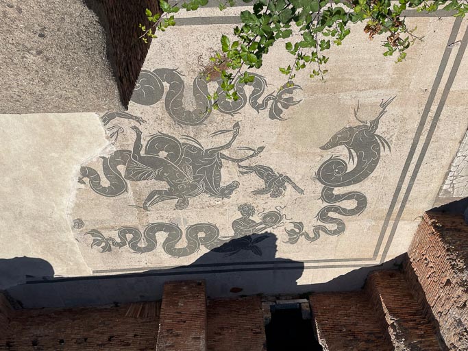 IMG_7417.jpg IMG_7417.jpg