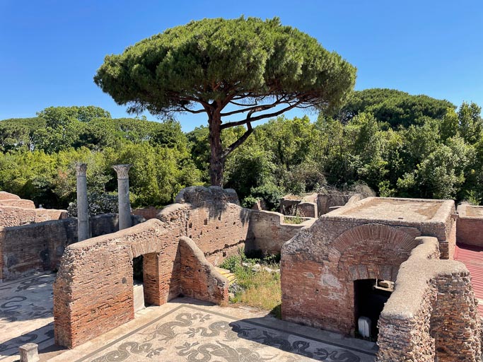 IMG_7419.jpg IMG_7419.jpg