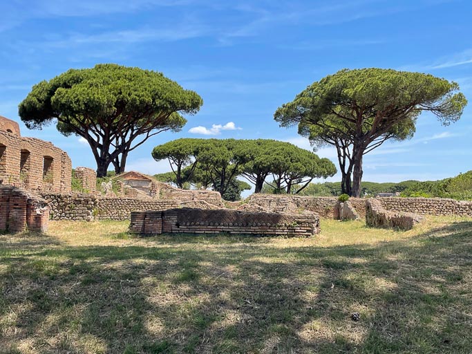 IMG_7485.jpg IMG_7485.jpg