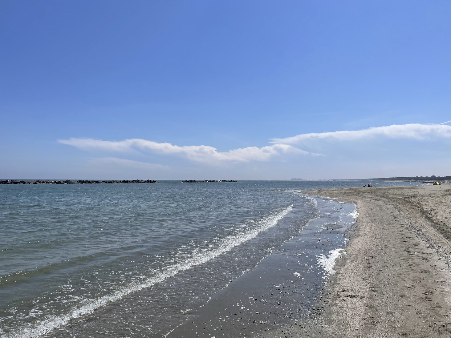 IMG_5890.jpg