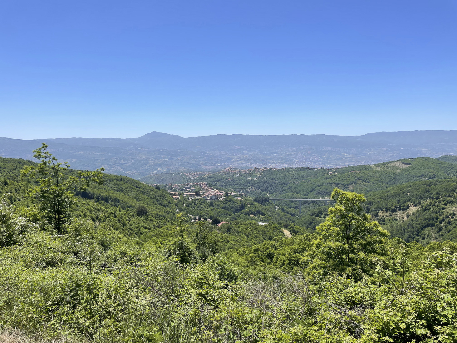 IMG_6687.jpg