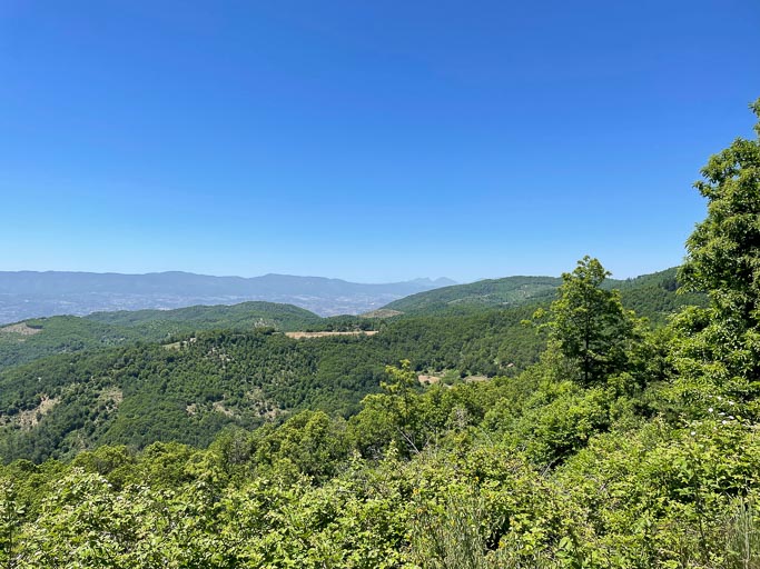 IMG_6689.jpg IMG_6689.jpg