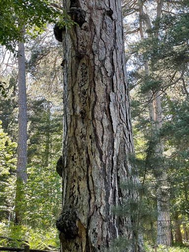 IMG_6698.jpg IMG_6698.jpg