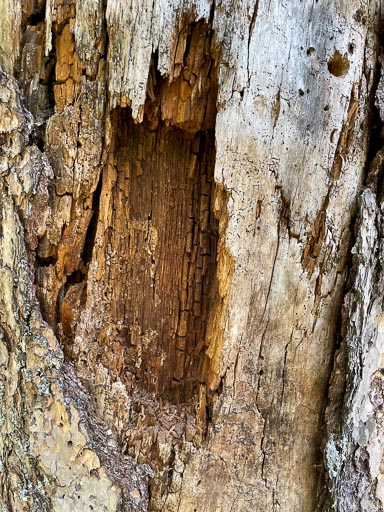 IMG_6704.jpg IMG_6704.jpg