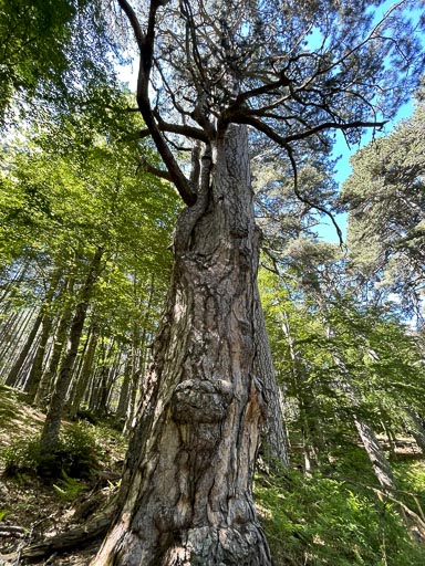 IMG_6710.jpg IMG_6710.jpg