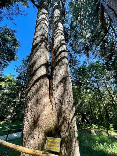 IMG_6717.jpg IMG_6717.jpg