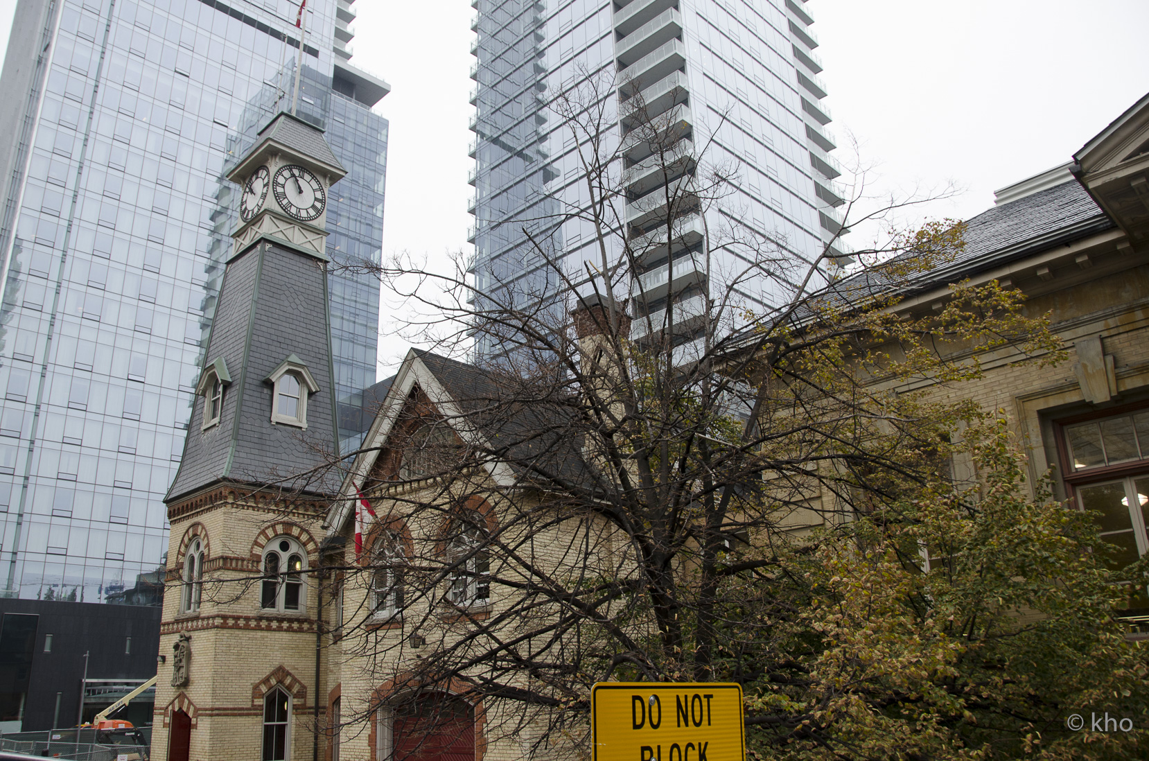 _D701085.jpg