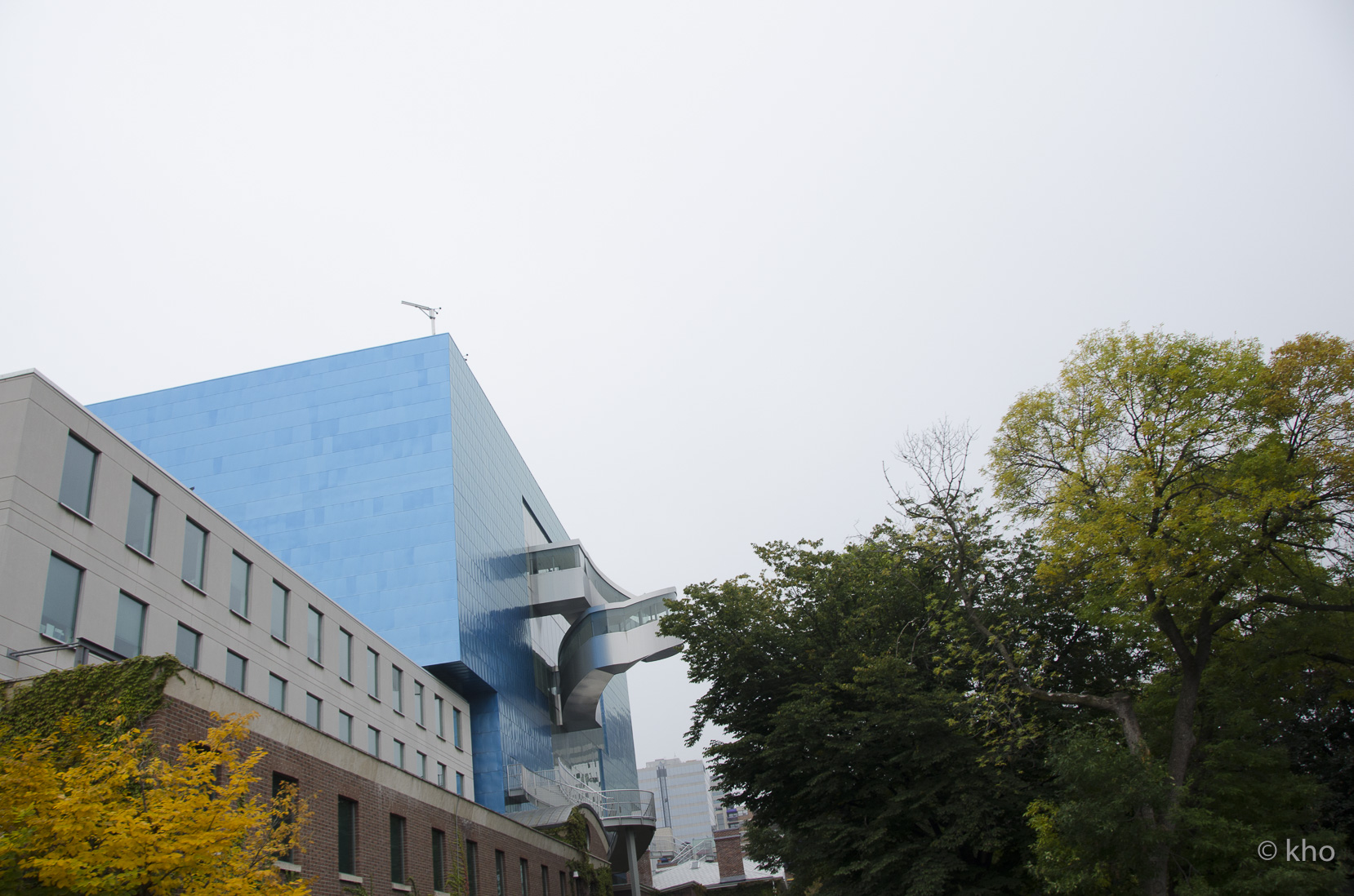 _D701099.jpg