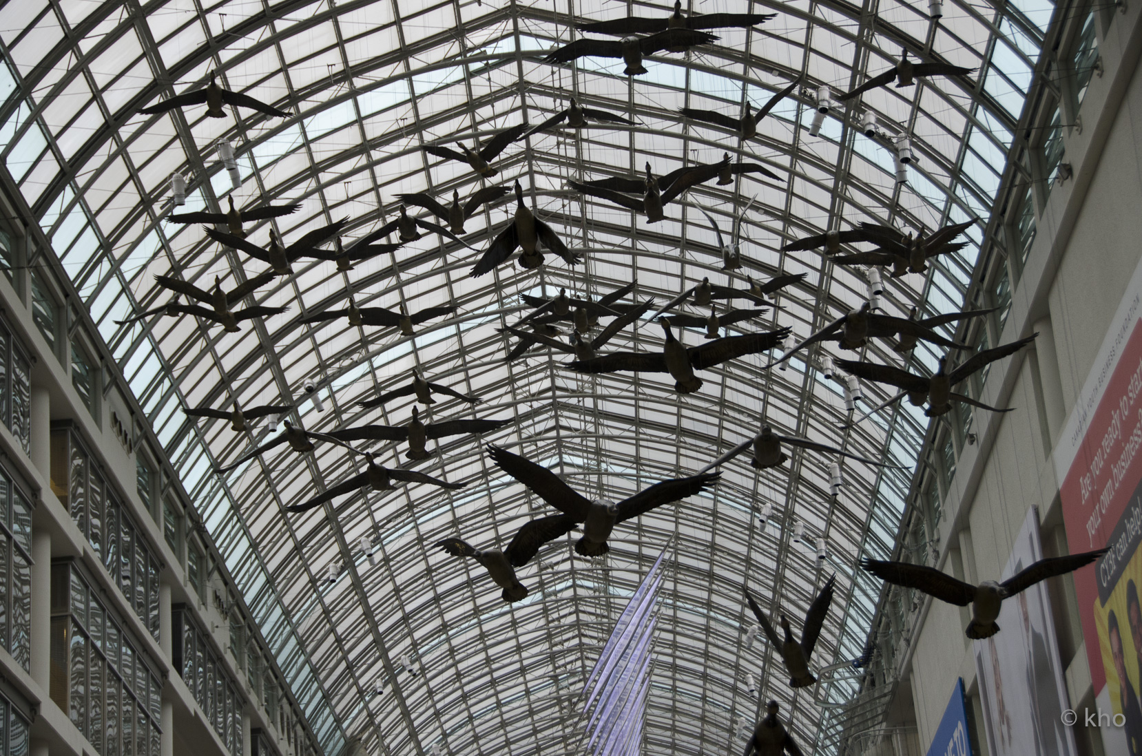 _D701126.jpg