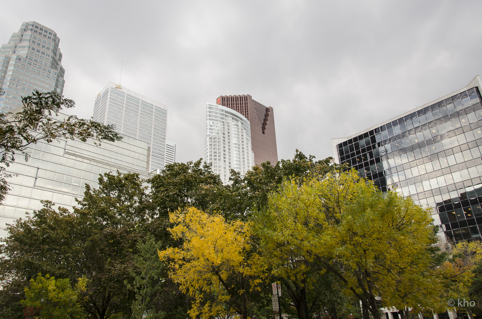 _D701524.jpg