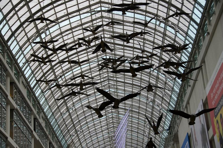Kanada - Toronto