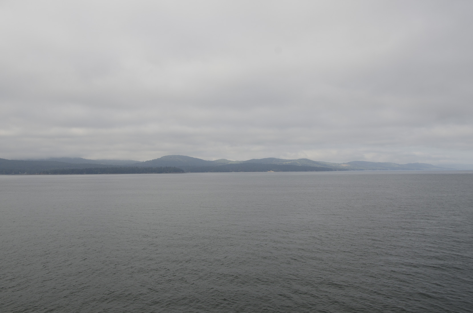 _D702499.jpg