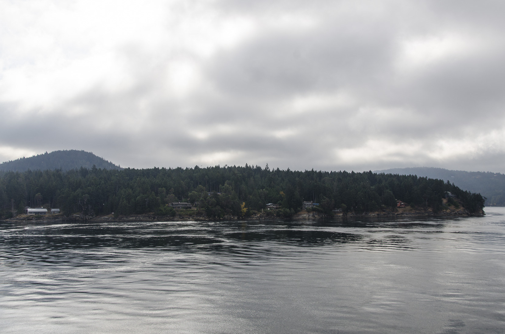 _D702519.jpg