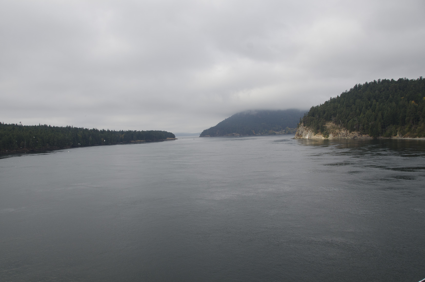 _D702522.jpg