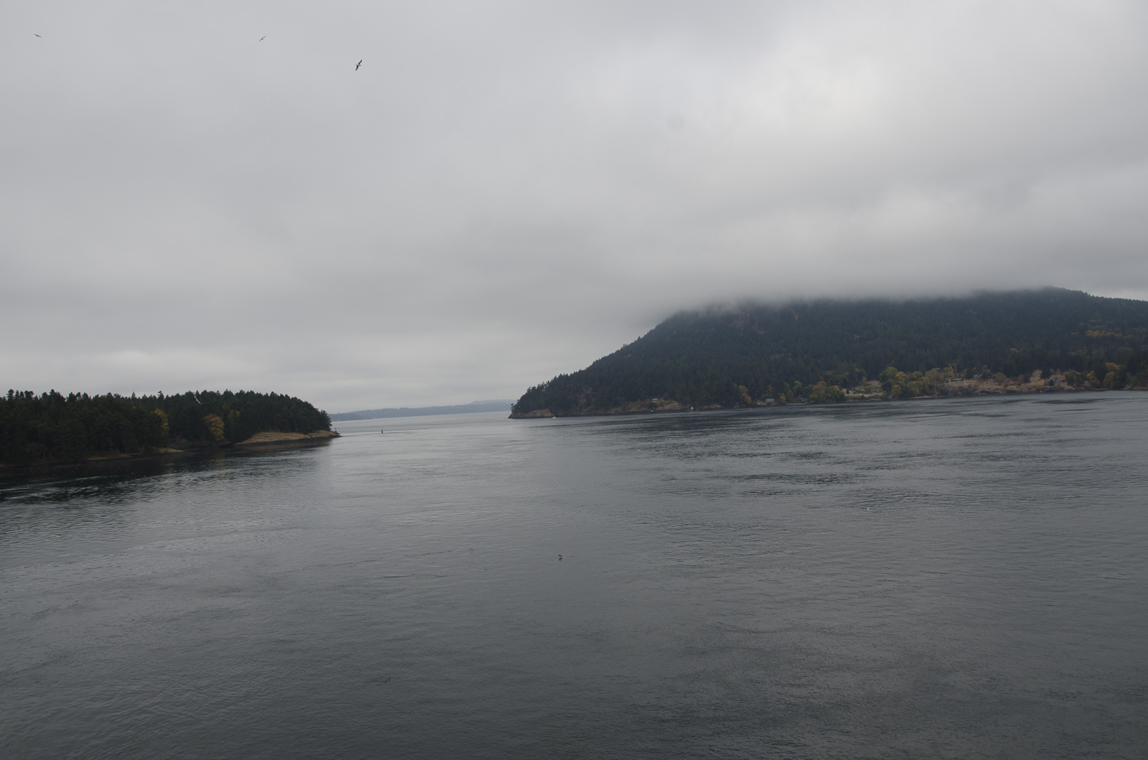 _D702528.jpg