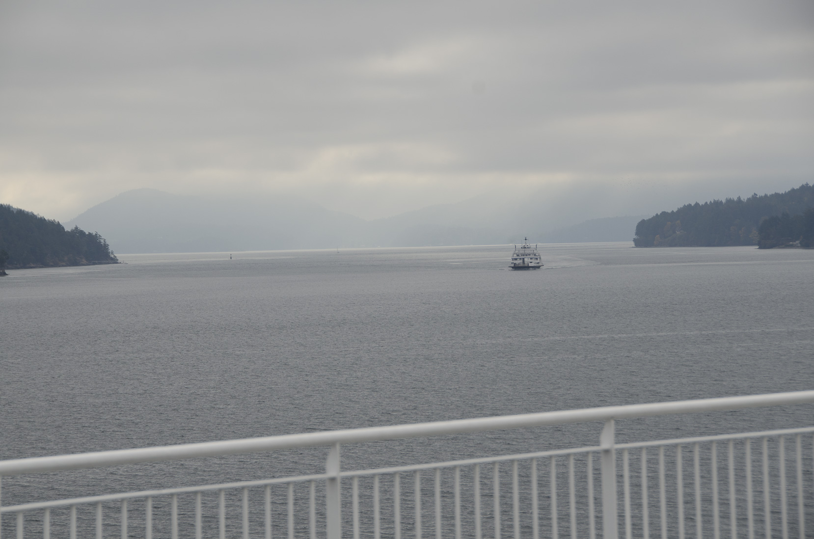 _D702542.jpg