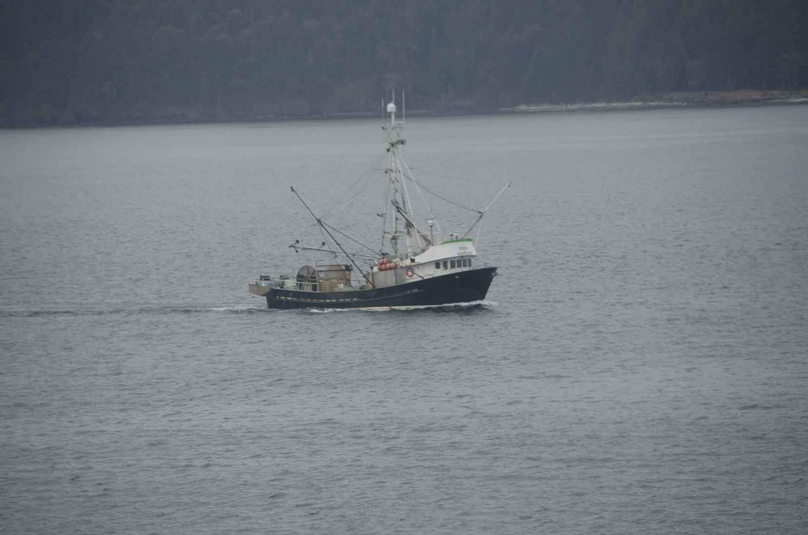 _D702554.jpg