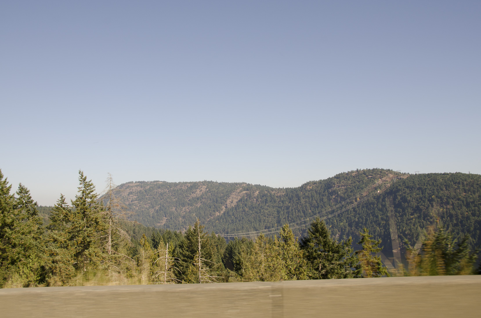 _D702559.jpg