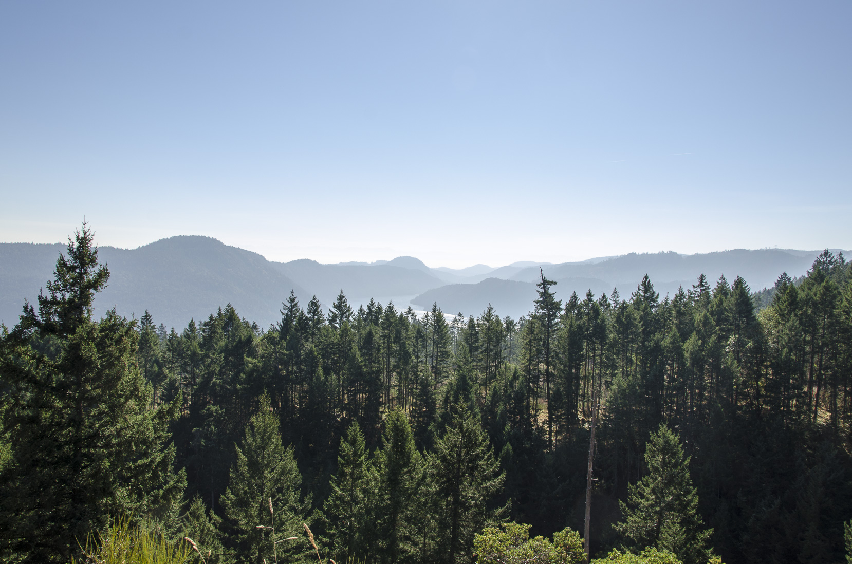 _D702562.jpg